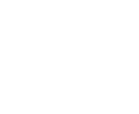 georgia state university logo